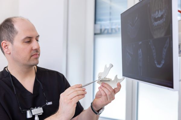 Dr. Nemeth erklärt Implantatplanung mit 3D-Kiefermodell in Schärding.